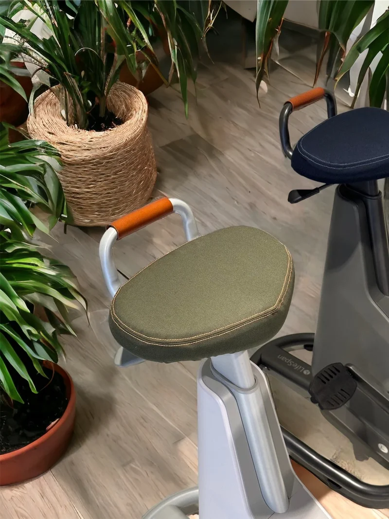 LifeSpan Ampera Bike Seat Covers