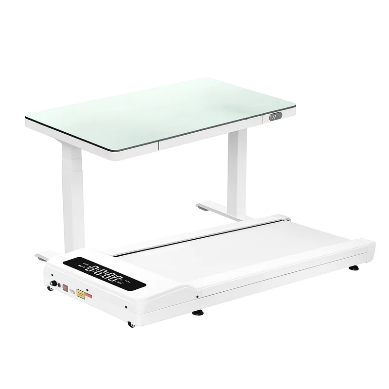 LifeSpan Glass Standing Desk
