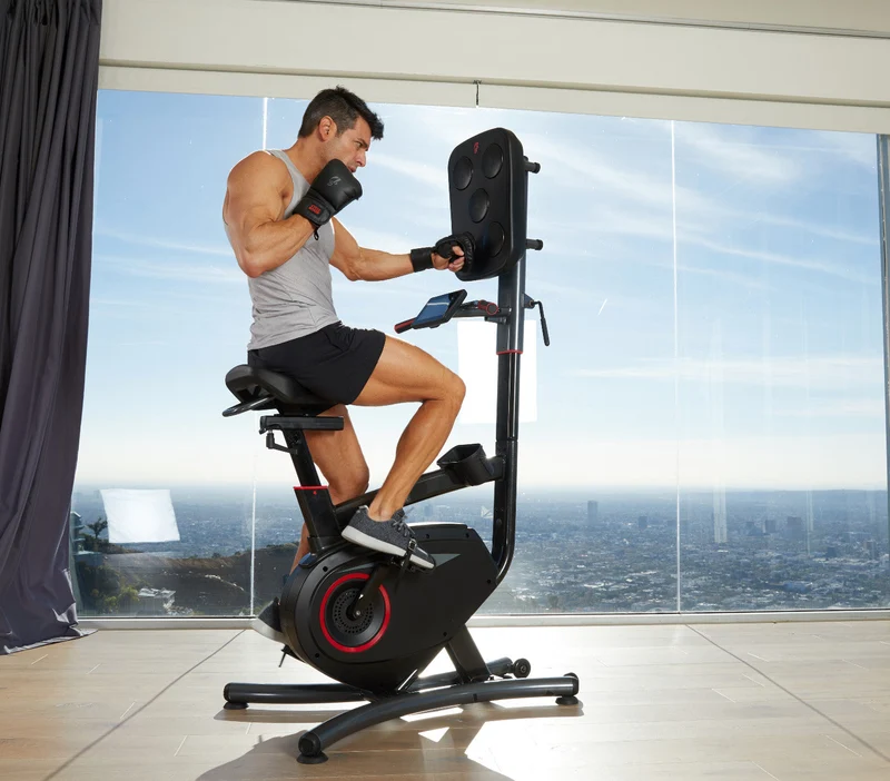 LifeSpan Fitness Cycle Boxer Hometrainer Box-Trainer CB110 - SHOWMODEL!