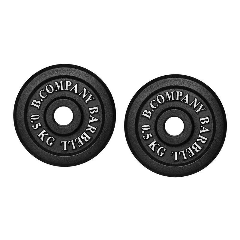 Guss 1,0Kg (2x0,5) Hantelscheiben Hantel Gewichte 30/31mm