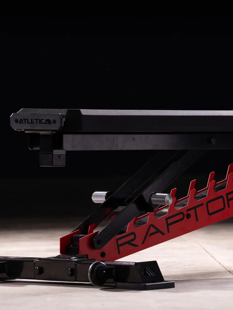 Raptor | verstellbare Hantelbank