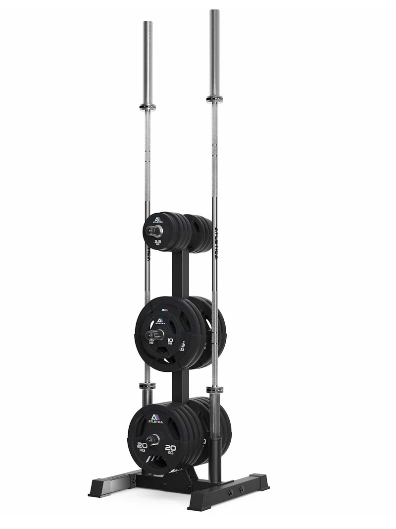 Rhino Grip Set 3H I 155kg 3H Gripper Plates & Rhino Hantelscheibenablage