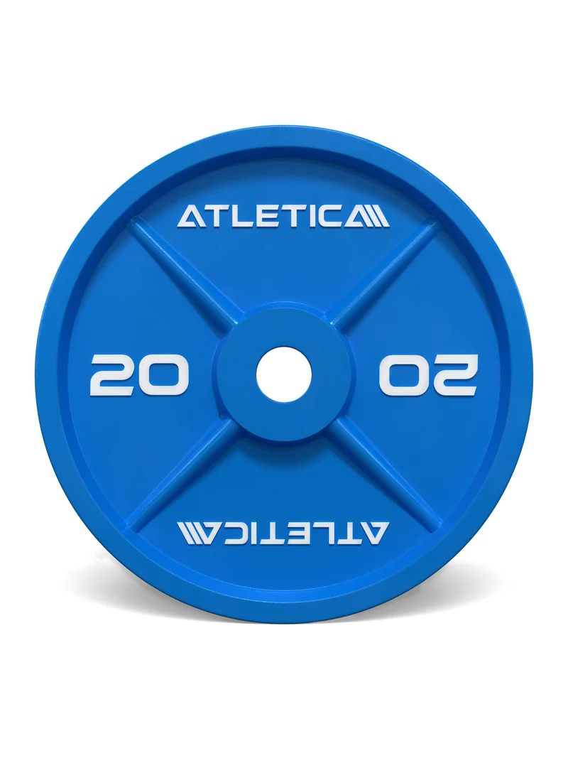 Color Iron Plates I 20kg I Paar