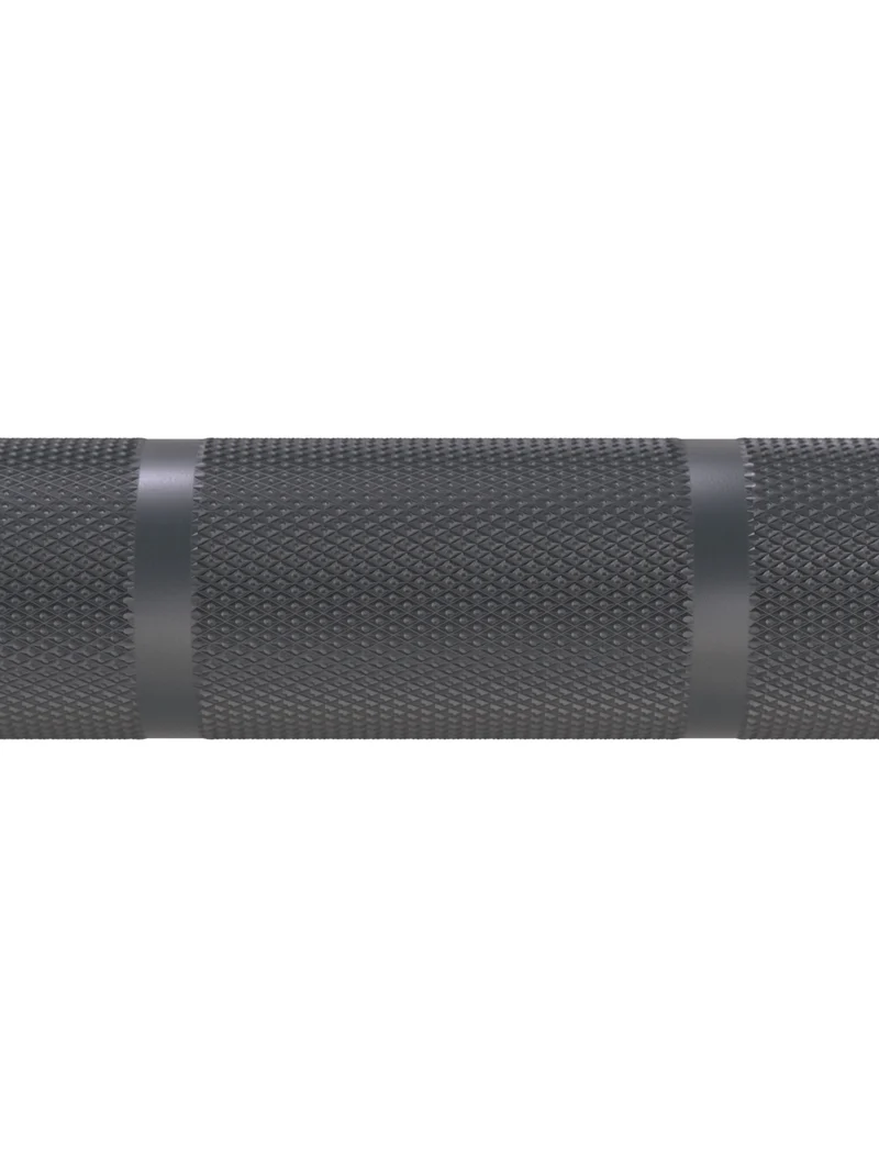 Langhantel | Delta | Battleship Grey