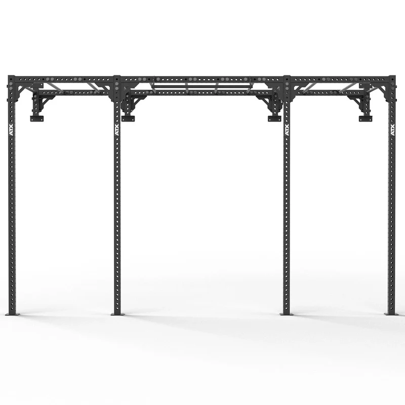 ATX® Functional WALL RIG 700 - Ladder 3