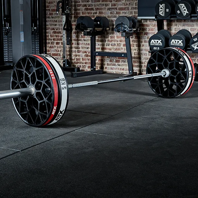 ATX® Hantelscheibe -Technikscheibe - Abwurftraining 2,5 + 5 kg