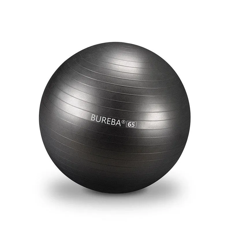 Gymnastikball Professional - 55/ 65/ 75 cm