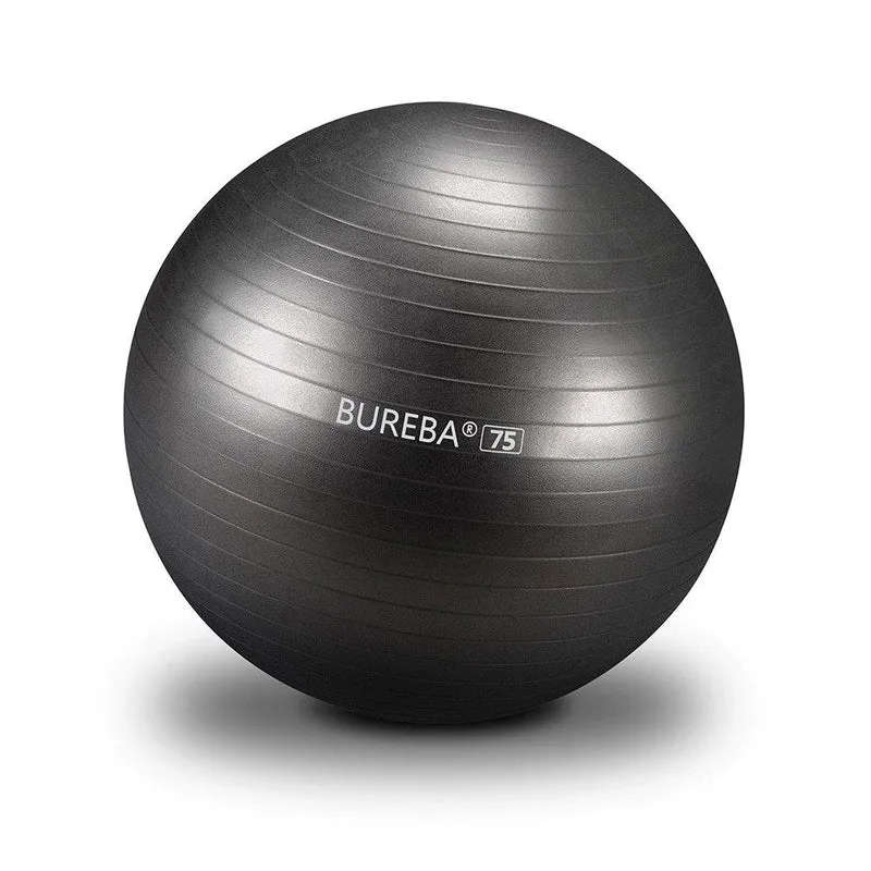 Gymnastikball Professional - 55/ 65/ 75 cm
