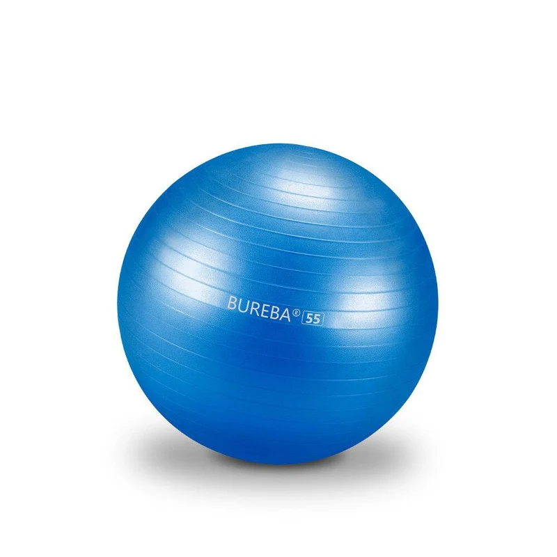 Gymnastikball Professional - 55/ 65/ 75 cm