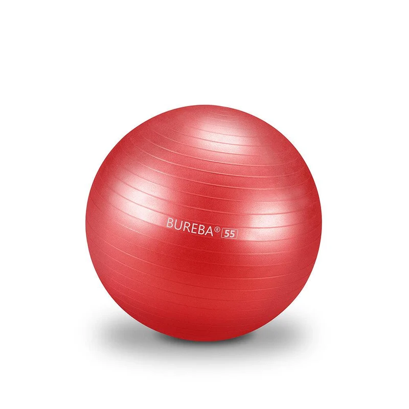 Gymnastikball Professional - 55/ 65/ 75 cm
