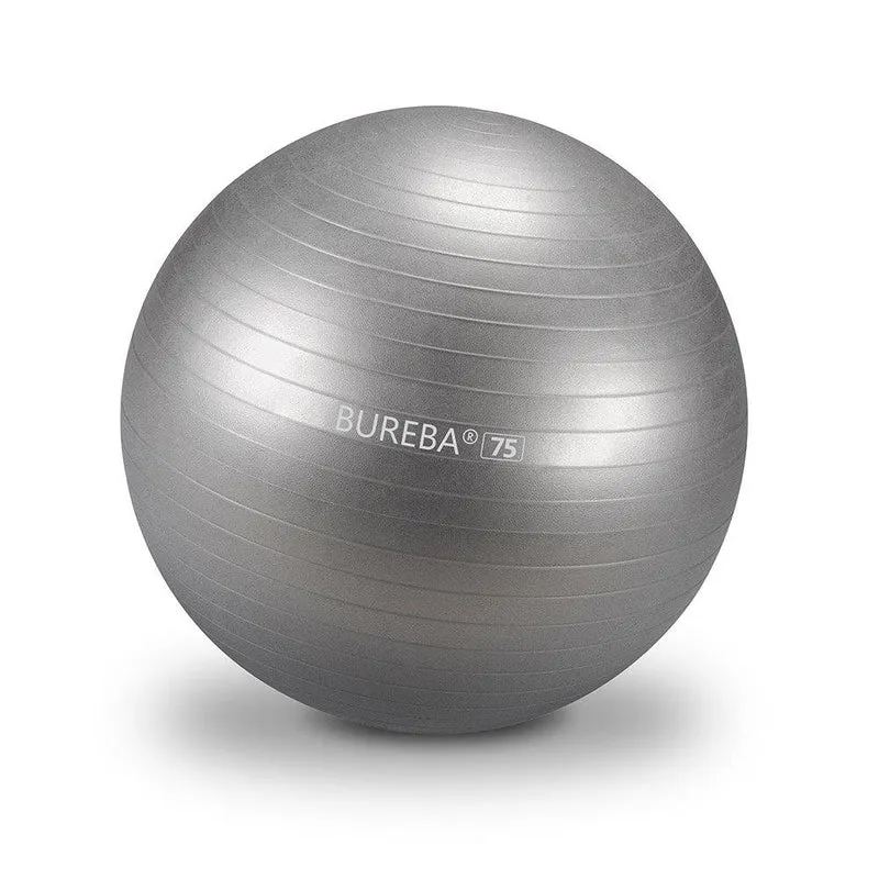 Gymnastikball Professional - 55/ 65/ 75 cm