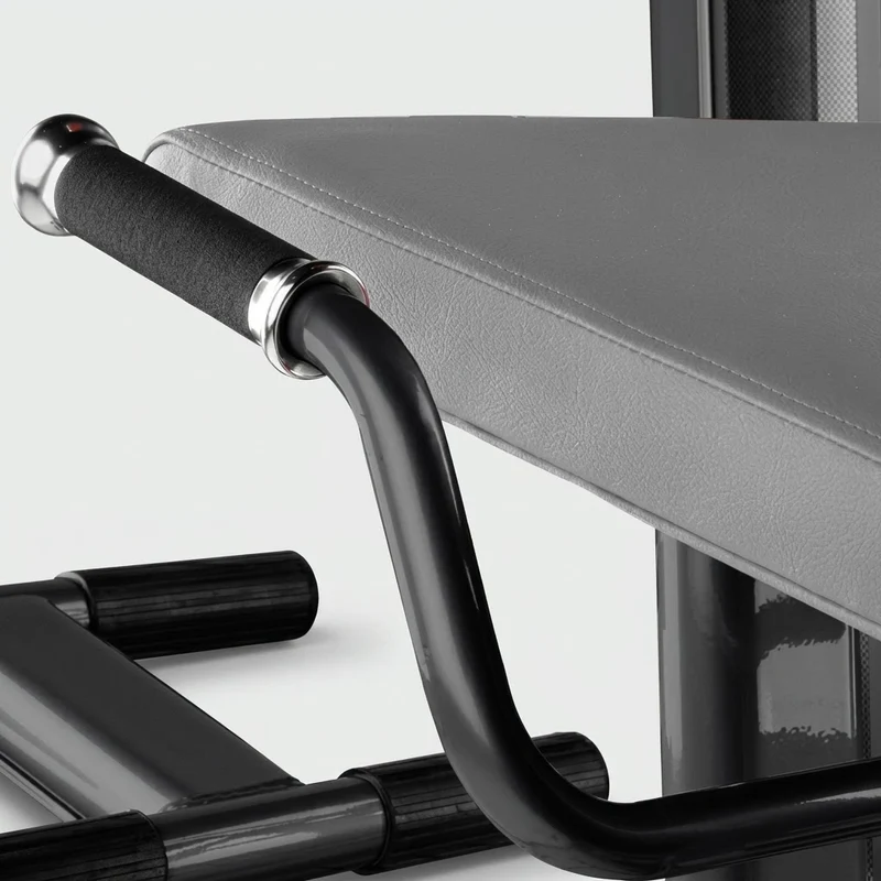 Rückenmaschine (Lower Back Machine) - BH Fitness