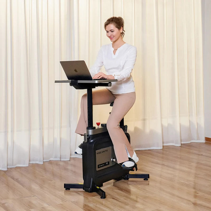 W1B Foldable Exercise Bike