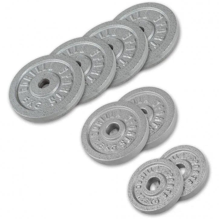 Hantelscheibe Guss Silber 0.5-30 KG