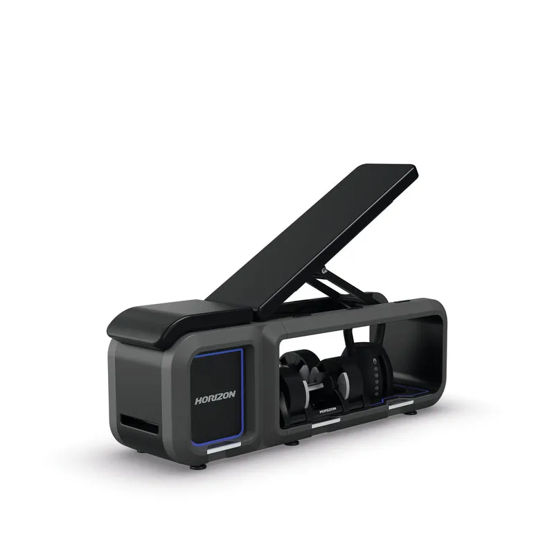 Hantelbank - Adjustable Fitness Bench