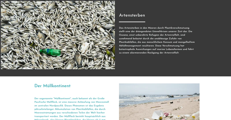 Der Meer Charger Shop - Projekt #210