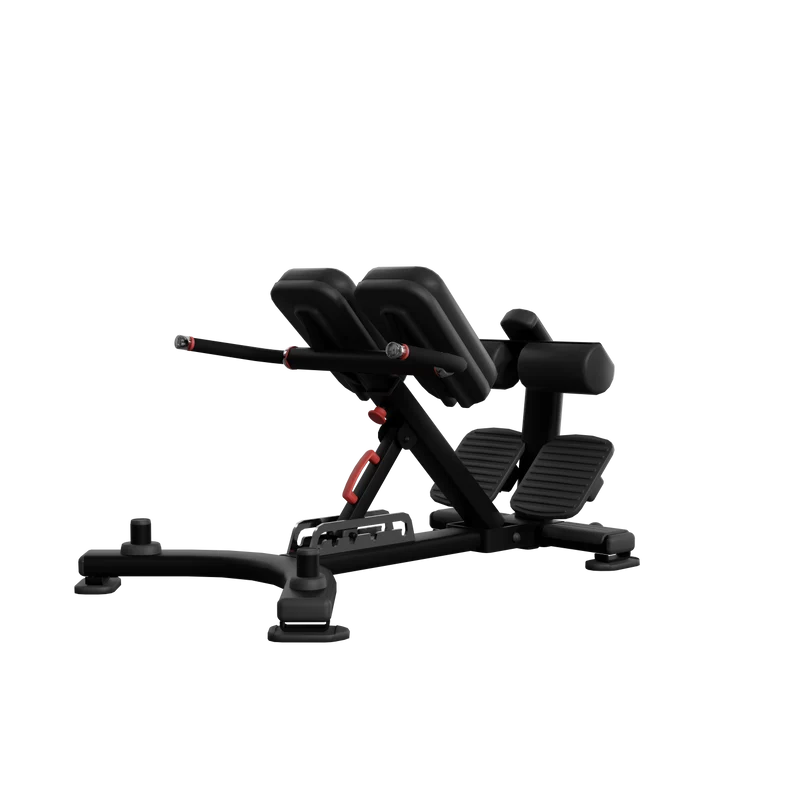 Adjustable Back Extension (45°)