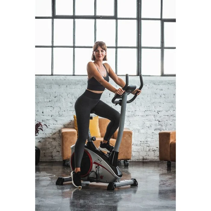 Hometrainer Ergometer AL 2 Silber