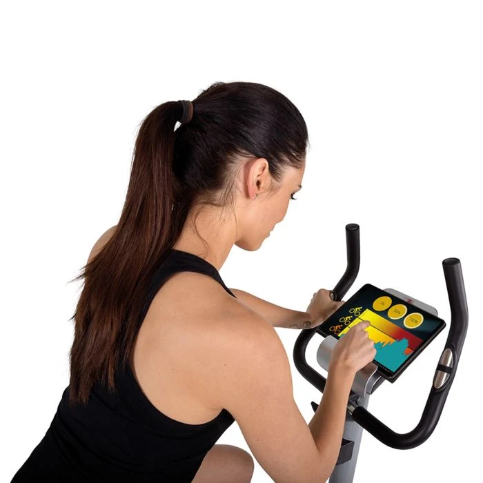 Hometrainer Ergometer AL 2 Silber