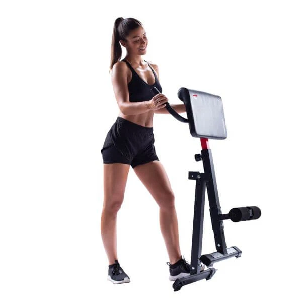Bauch- und Rückentrainer AB 1000