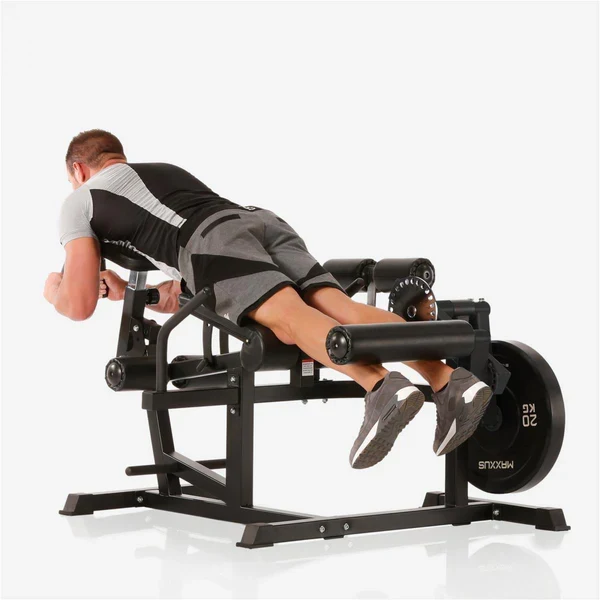 Multi Trainer Pro