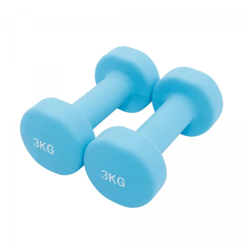 Aerobic Hantelkoffer 12 kg