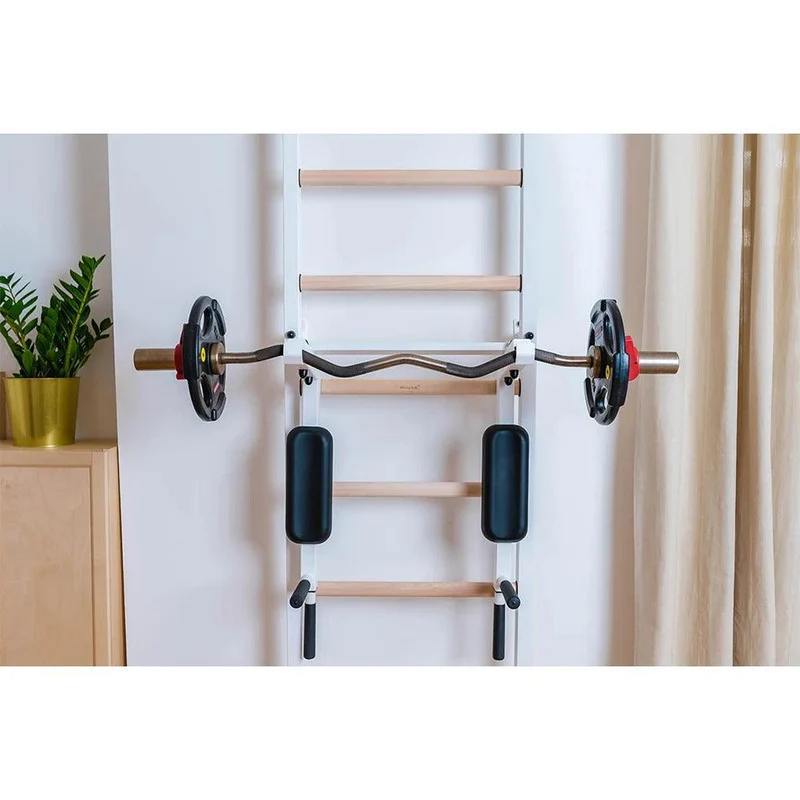 BenchK Sprossenwand 733W