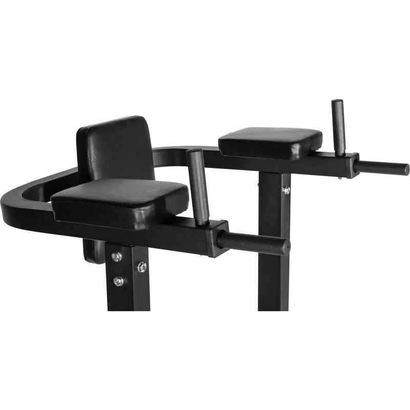 Dip Station Multifunction