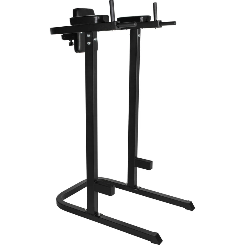 Dip Station Multifunction