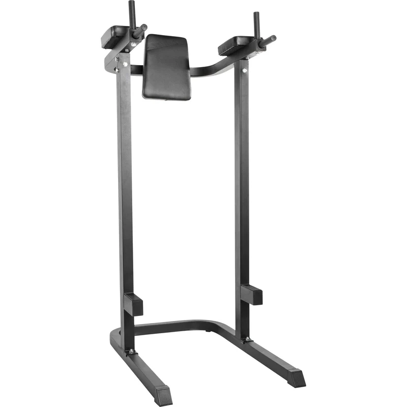 Dip Station Multifunction