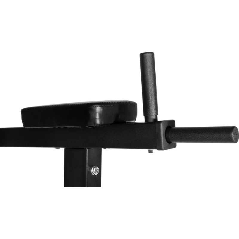 Dip Station Multifunction
