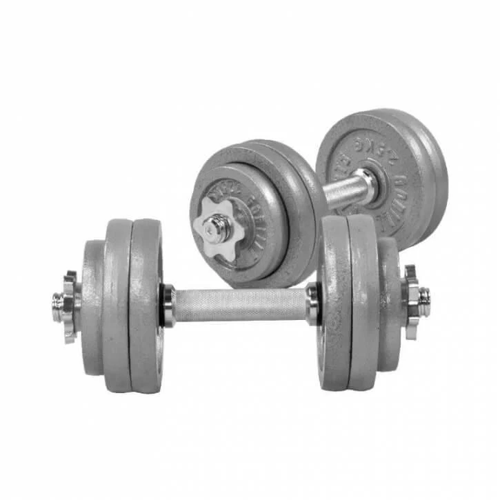 Kurzhantelset Gusseisen 30 kg Silber