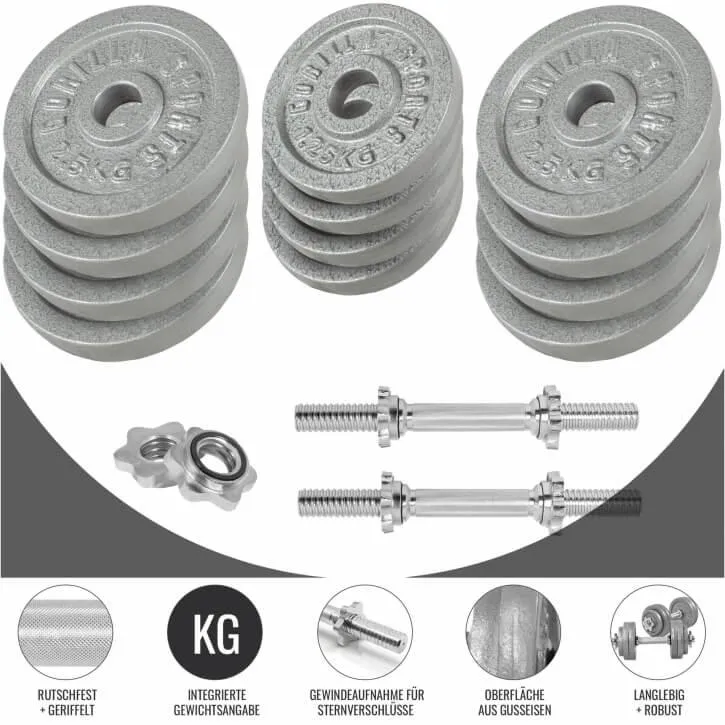 Kurzhantelset Gusseisen 30 kg Silber