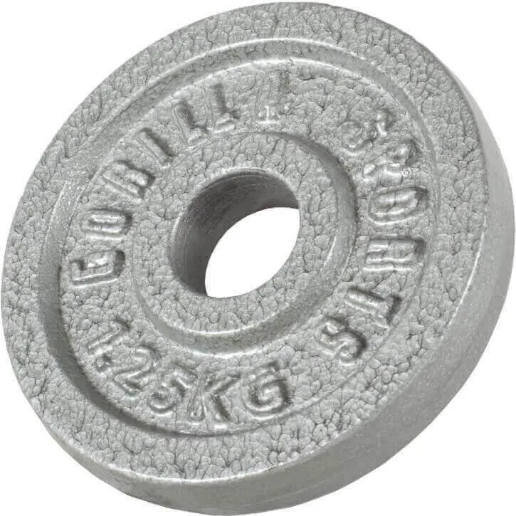 Kurzhantelset Gusseisen 30 kg Silber