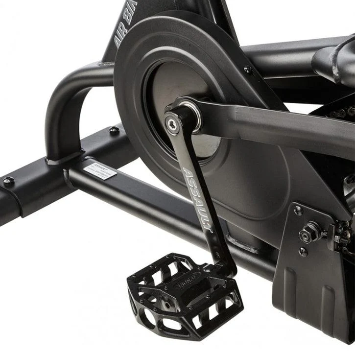 Assault Airbike Classic