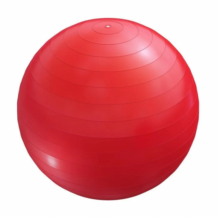 Gymnastikball Fitness Sitzball ⌀55 cm