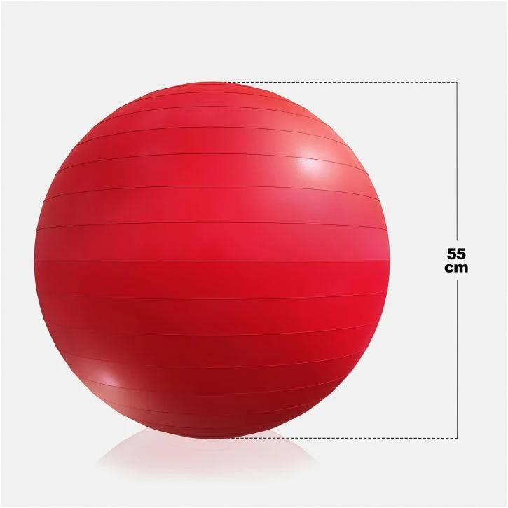 Gymnastikball Fitness Sitzball ⌀55 cm
