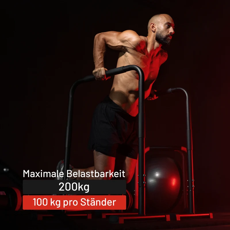 Push Up Stand Dip Barren Schwarz/Rot/Blau