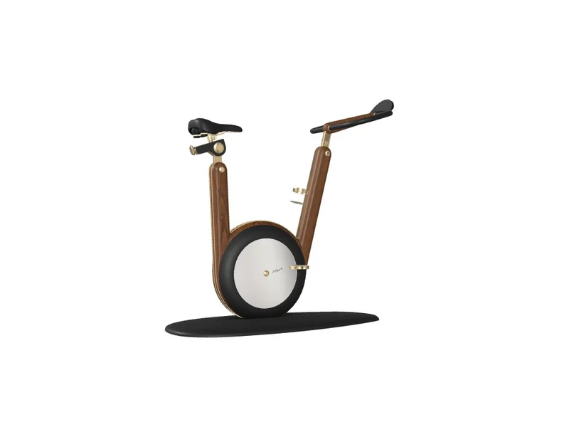 Custom Hania™ Stationary Bicycle - Ref: MHIWUBJ