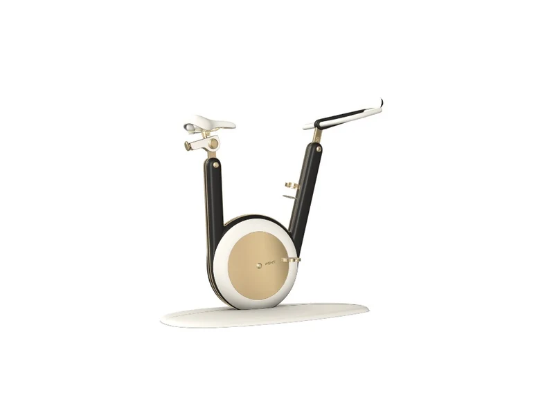 Custom Hania™ Stationary Bicycle - Ref: WERYMA