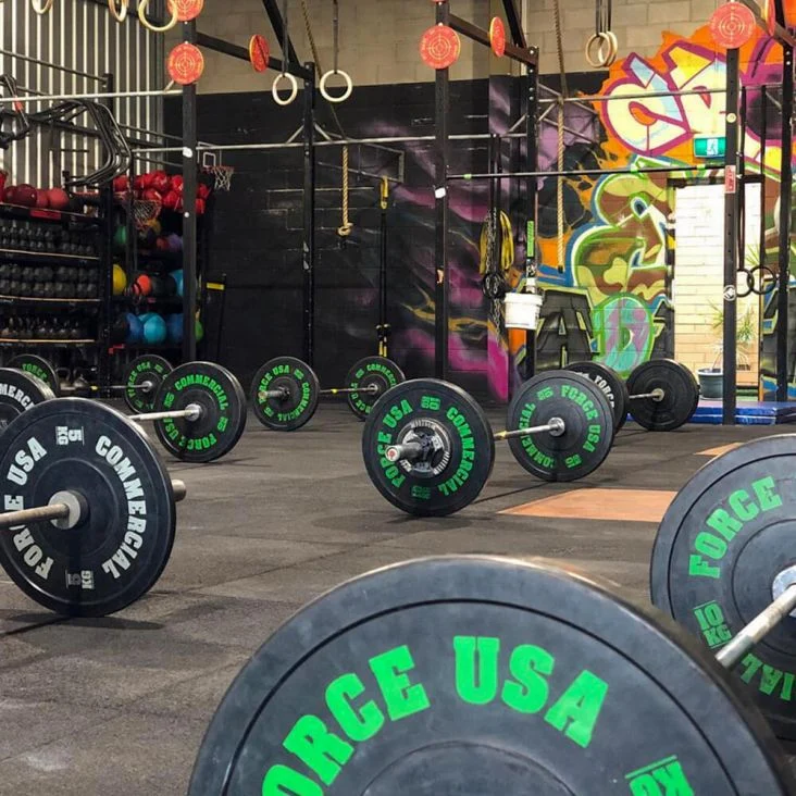 ForceUSA Ultimate Training Bumper Plates