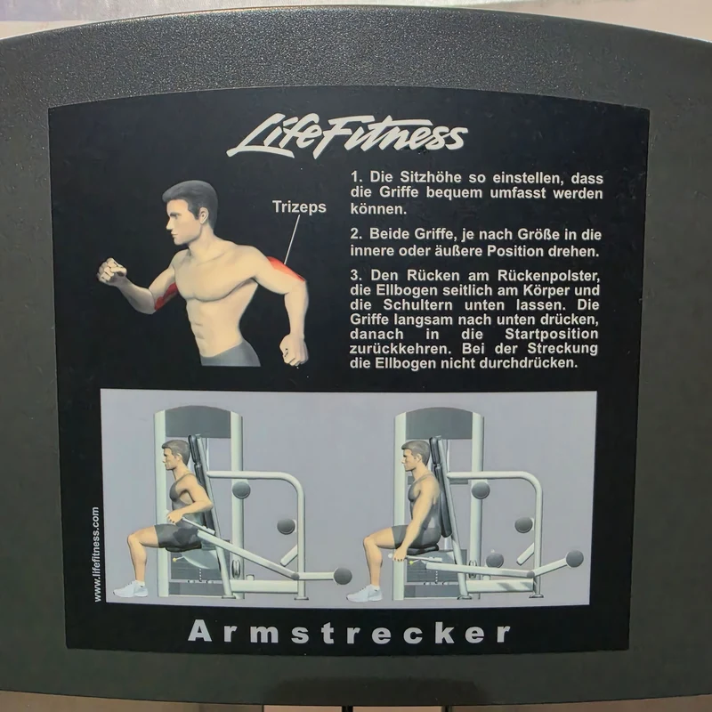 Life Fitness Trizepsmaschine Dip, Armstrecker Triceps, 135kg Gewichtsblock, Signature Series, Rahmenfarbe Silber, gebraucht - überholter Zustand