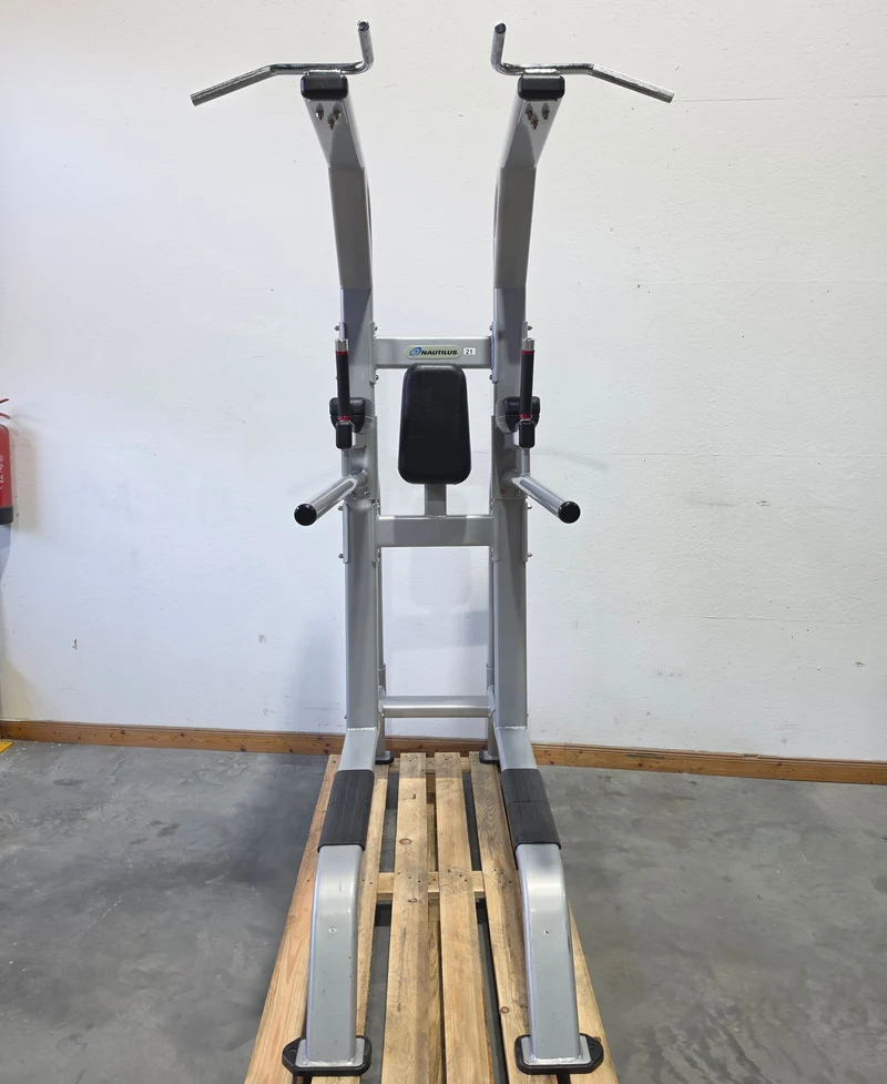 Nautilus 3 in 1 Gerät, Dips, Beinheben und Klimmzug Ständer = Pull Up - Dip - Leg Raise, Inspiration Strength Series NP-B7511, Rahmenfarbe Silber, gebraucht mit Gebrauchsspuren
