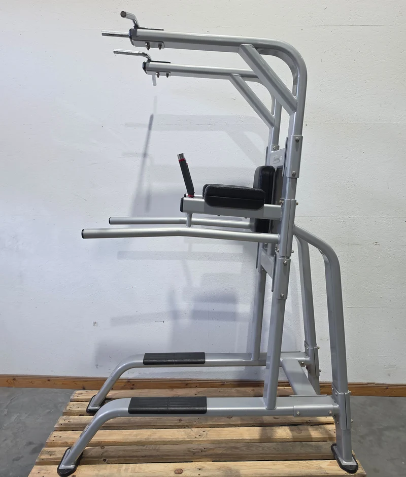 Nautilus 3 in 1 Gerät, Dips, Beinheben und Klimmzug Ständer = Pull Up - Dip - Leg Raise, Inspiration Strength Series NP-B7511, Rahmenfarbe Silber, gebraucht mit Gebrauchsspuren