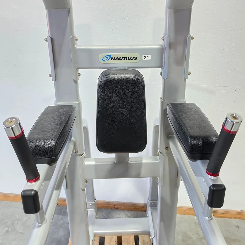 Nautilus 3 in 1 Gerät, Dips, Beinheben und Klimmzug Ständer = Pull Up - Dip - Leg Raise, Inspiration Strength Series NP-B7511, Rahmenfarbe Silber, gebraucht mit Gebrauchsspuren
