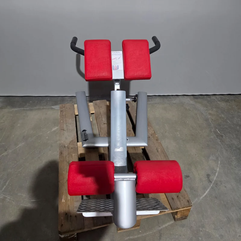 Teuwsen Hyperextension, Rückenstreckerbank, 45° verstellbar, Rahmenfarbe Silber, gebraucht - mit Gebrauchsspuren