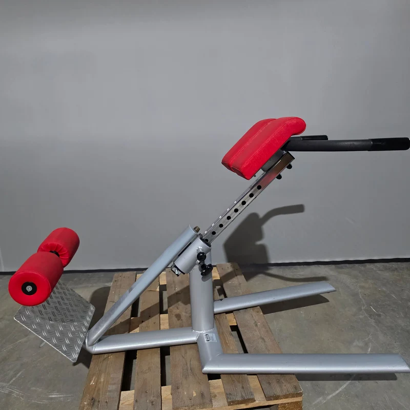 Teuwsen Hyperextension, Rückenstreckerbank, 45° verstellbar, Rahmenfarbe Silber, gebraucht - mit Gebrauchsspuren