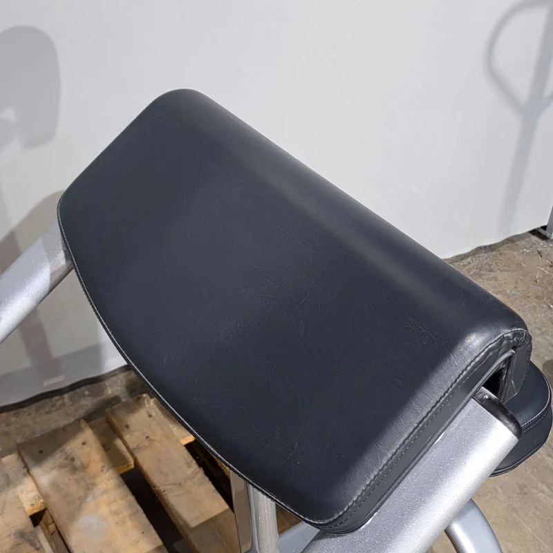 Matrix Scottcurl, Bizepsbank, SZ Curls, Rahmenfarbe Silber, gebraucht mit Gebrauchsspuren