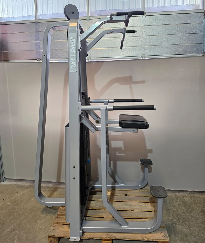Precor Icarian 320 Assisted Dip-Chin & Pull-up Machine, Dip-Klimmzugmaschine mit Gewichtsunterstützung, Rahmenfarbe Silber, gebraucht - überholter Zustand
