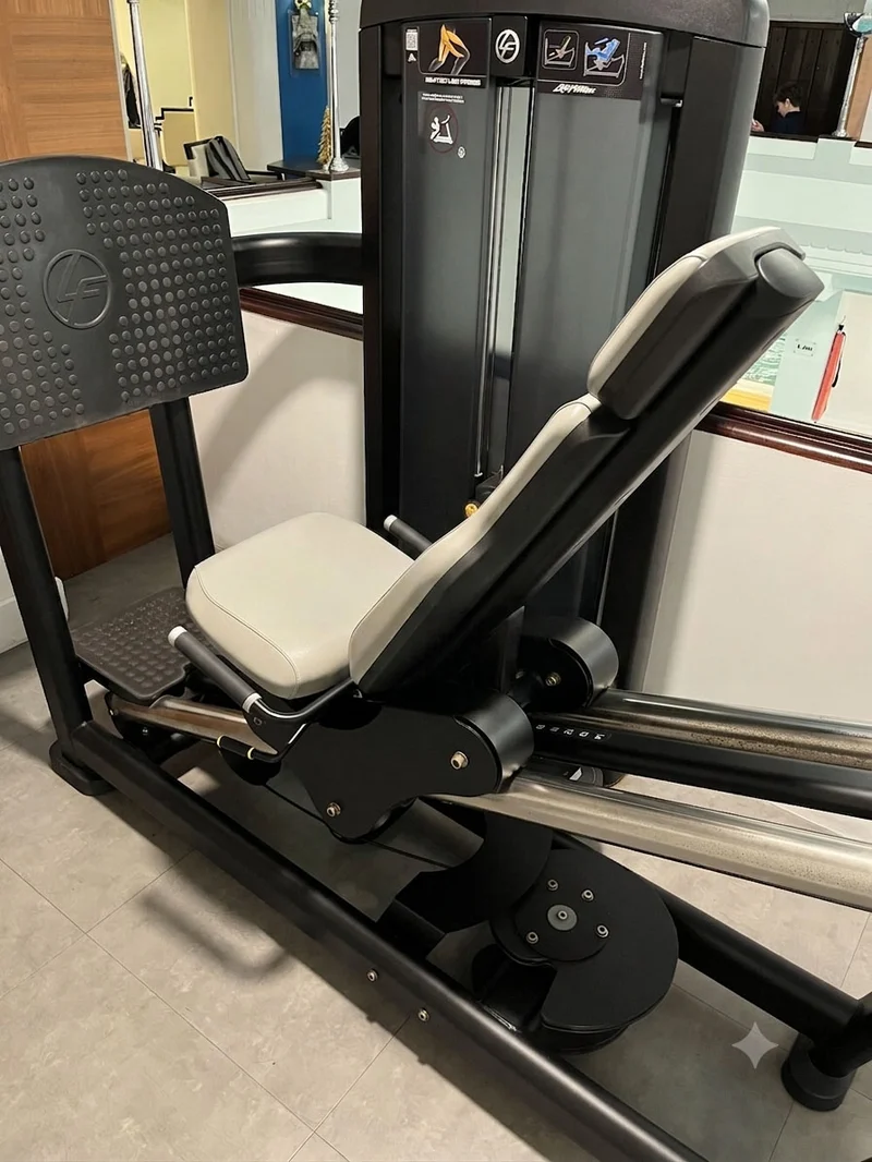 Life Fitness Set 11 Kraftgeräte, 9x Insignia und 2x Optima Serie, Rahmen Schwarz, gebraucht - überholter Zustand